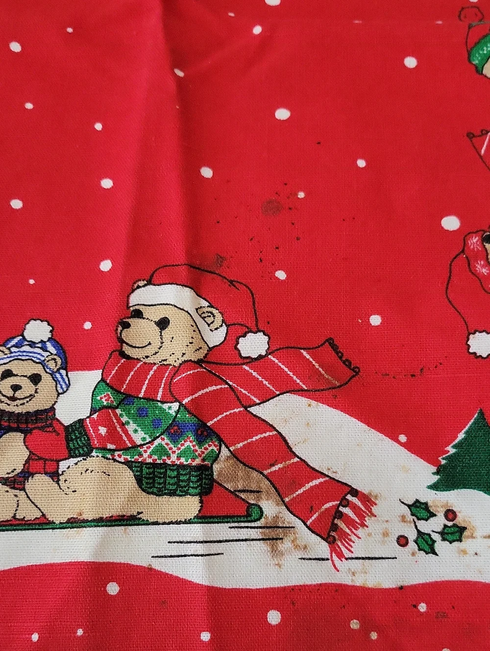 Winter Bear Tablecloth and Napkins - 54